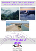 Environment Māori (PDF, 494KB)