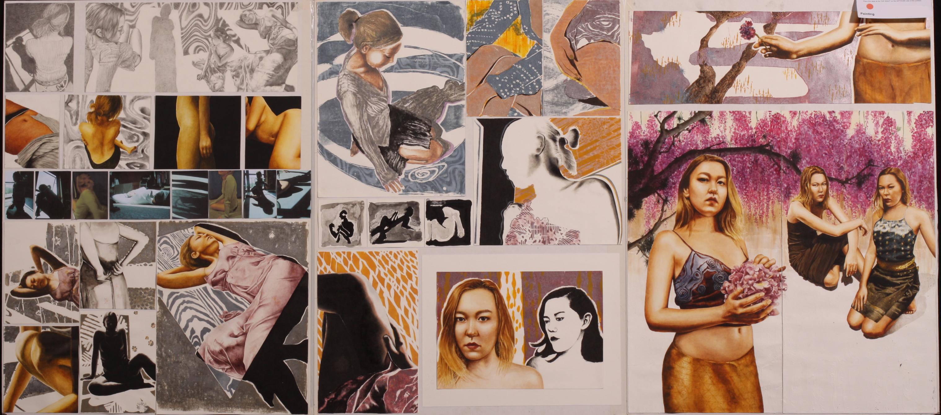 Scholarship painting exemplars - 2013 » NZQA