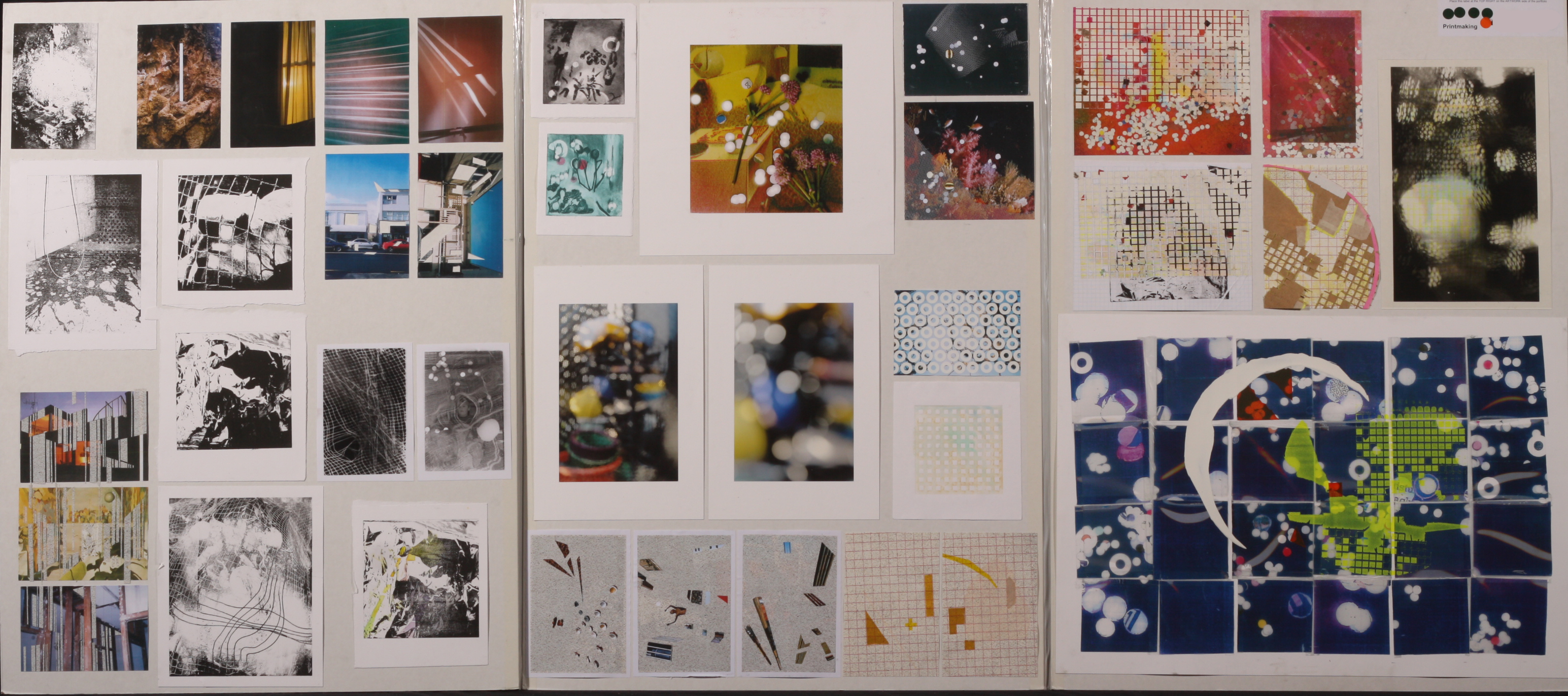 Scholarship printmaking exemplars - 2014 » NZQA